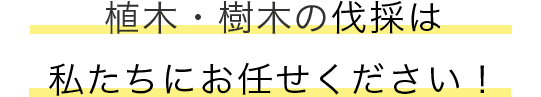 庭木・植木の剪定・刈込は私たちにお任せください！