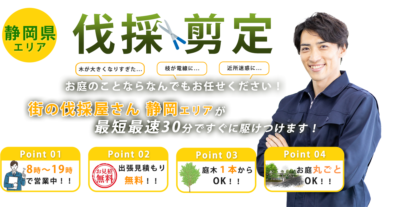 お庭のお手入れ 街の伐採屋さん 静岡エリアへまるごとお任せ！低価格で親切丁寧！20年の実績が信頼の証