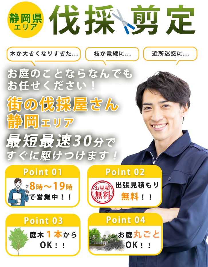 お庭のお手入れ 街の伐採屋さん 静岡エリアへまるごとお任せ！低価格で親切丁寧！20年の実績が信頼の証